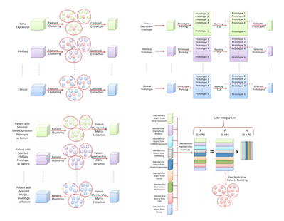 MVDA: Multi-View Data Analysis for Patients Sub-typing