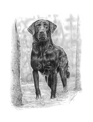 Yadi Work Final_edited.png