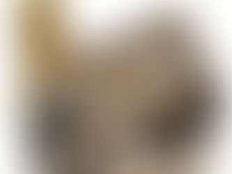 Receita Federal fecha o cerco sobre negócios em dinheiro vivo