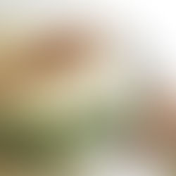 Receta: Siempre hemos vivido en el Castillo