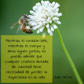 Viaje al Centro de la Tierra