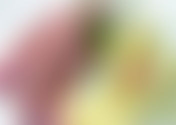 Receta: Aventuras de un soldado de Napoleón