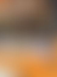 Entrevista Hola monstruo