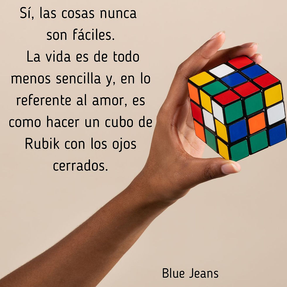 Tengo un secreto: El diario de Meri