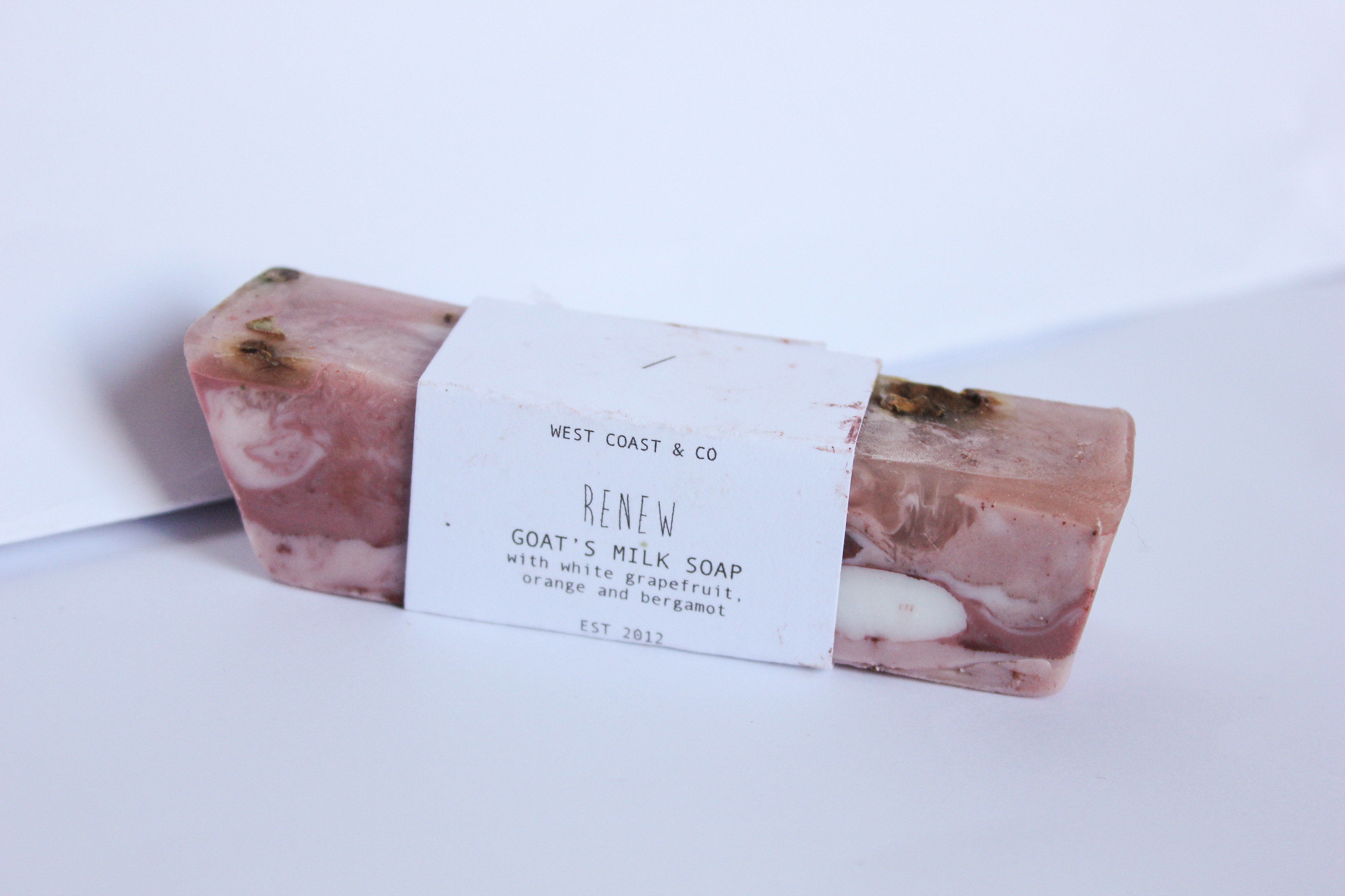 RENEW / Soap Stick