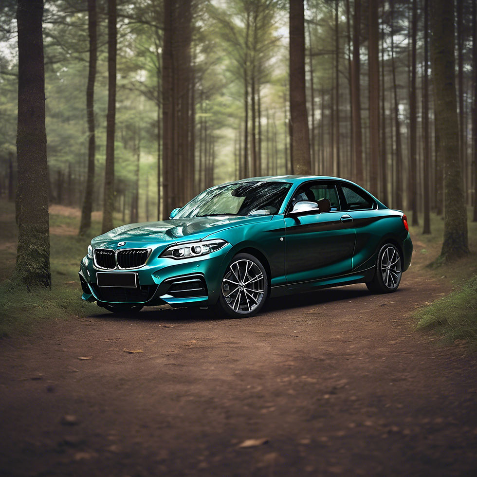 BMW 2 Series Coupe in a nice forest ambient without plate numbers.jpg