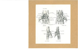 743DB50D-8C53-4677-BBA4-725E0323F94D