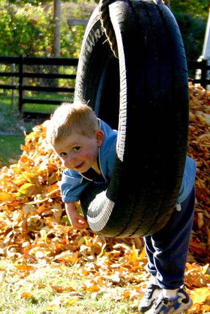 Fall_photo