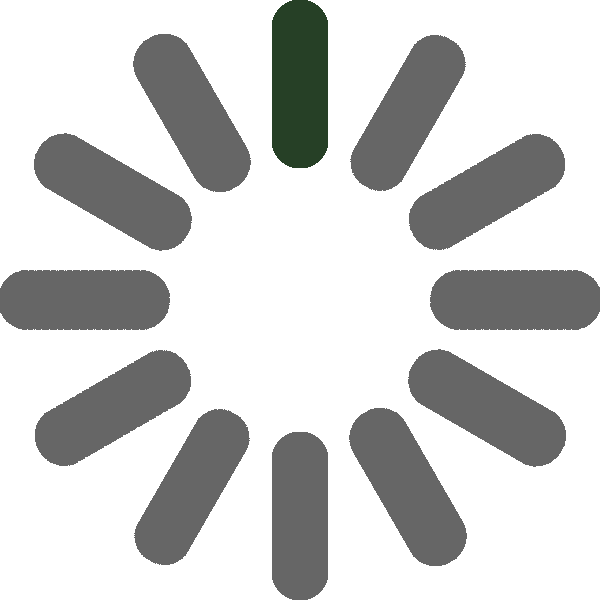 loading (1).gif
