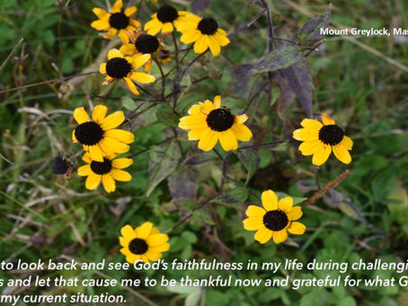 Looking back to see God's faithfulness