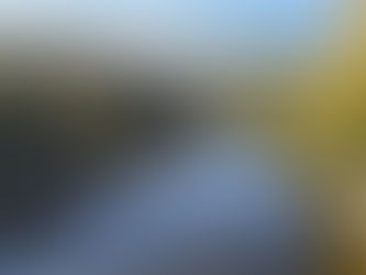 As If The Setback Never Happened...