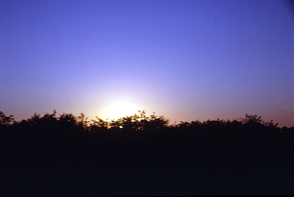 Sunset | beautiful setting or rising sun dropping below or peeking from the trees | nature | nature lovers | nature photography |nature photographer | sunrise | sunset
