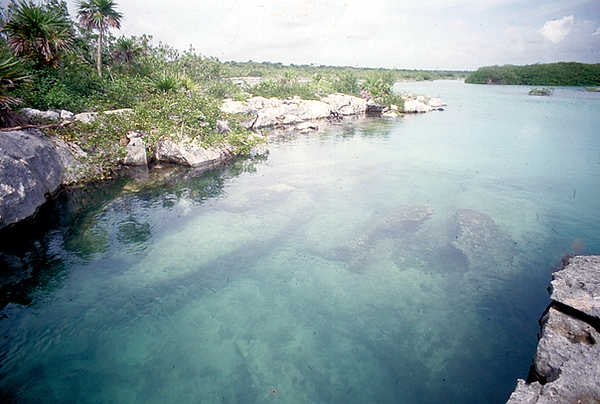 It's Clear | photo of clear lake or canal water along a rugged coast | nature | nature lovers | nature photography | nature photographer | clear water