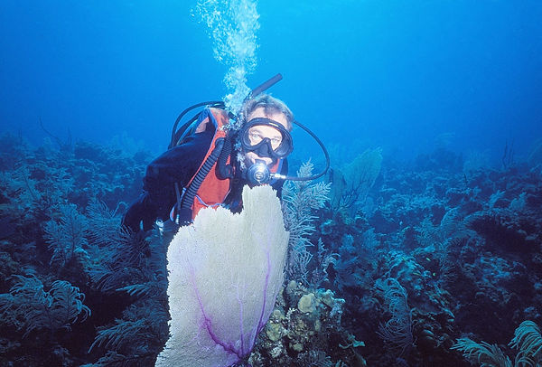 Dad's Eyes | unwater scene with my dad behind a purple sea fan with soft corals surrounding him| underwater | underwater life | underwater photography | underwater world | undersea | undersea life | undersea world | florida keys | florida keys life | nature | nature photography | uw photography | diving photography | scuba diving photos | scuba diving magazine | diving magazine | coral | coral reef | diver |