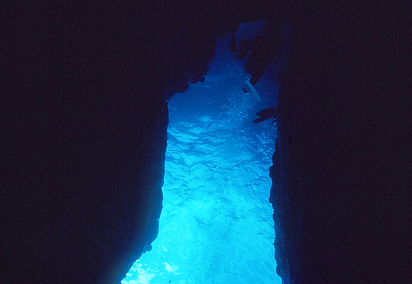 Light at the end of the tunnel? | a scene of light shining in the opening of the sand and reef | underwater photography | Underwater World | underwater life | reef life | salt life