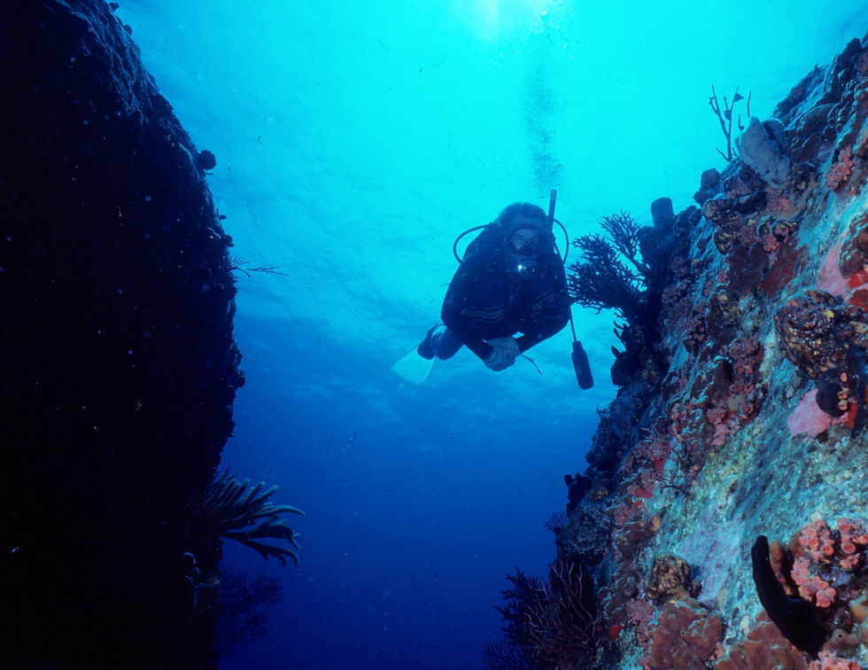 Exploring the Reef | a diver, dad, swimming between the corals |underwater photography | underwater world | loved the sea