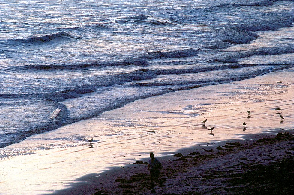 Beach Crowd