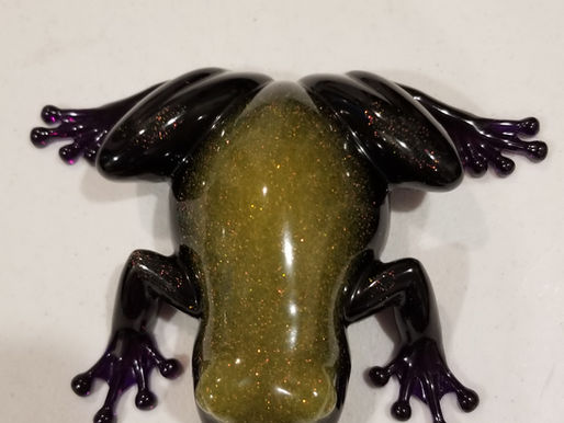 Frogs Hopping Everywhere