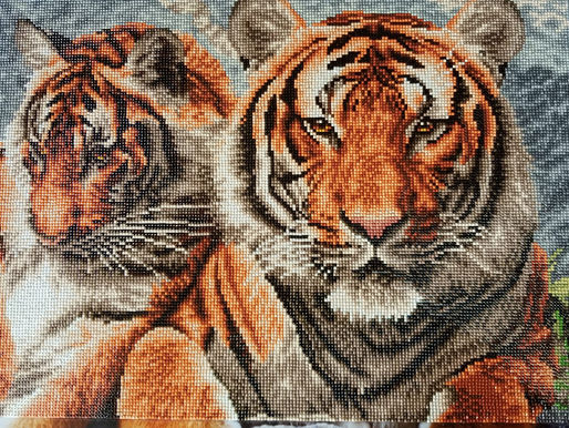 Tigers