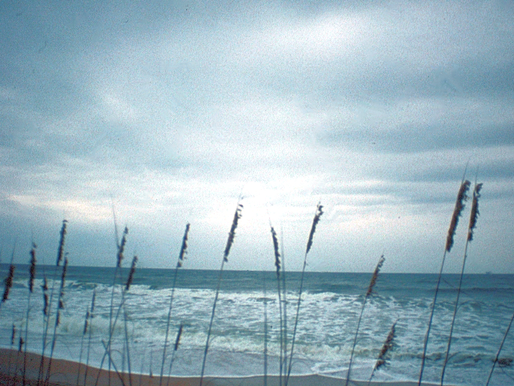 Ahhh, the Beach