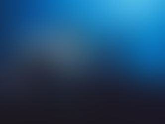 Little Butterfly fish