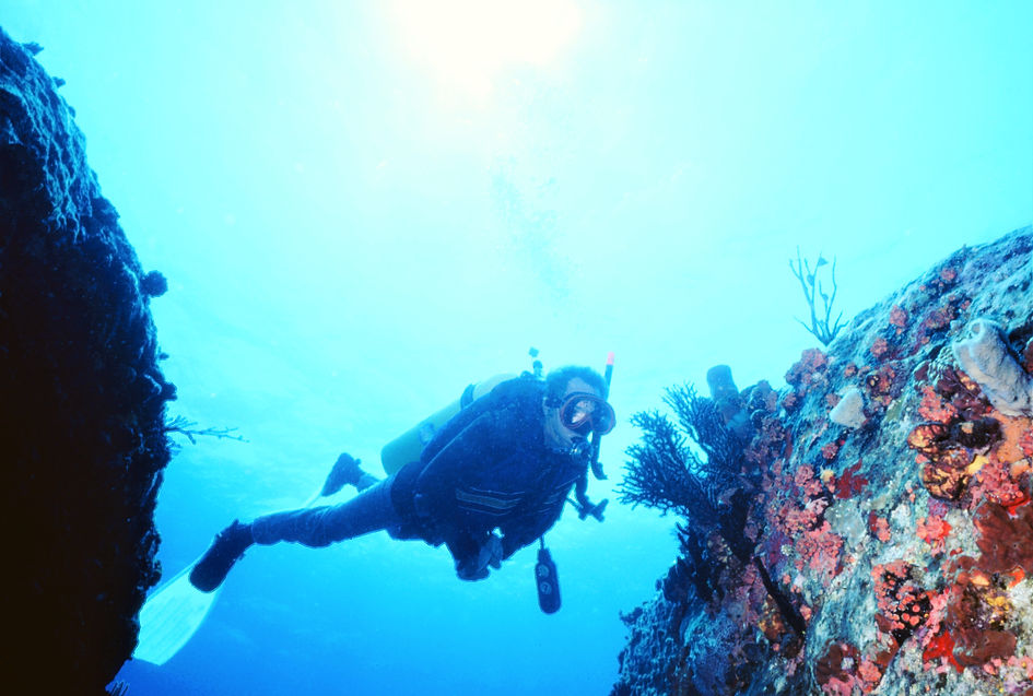 | underwater | underwaterlife | underwater photography | underwaterworld | undersea | undersea life | undersea world | florida keys | florida keys life | nature | nature photography | uw photography | diving photography | scuba diving photos | scuba diving magazine | diving magazine