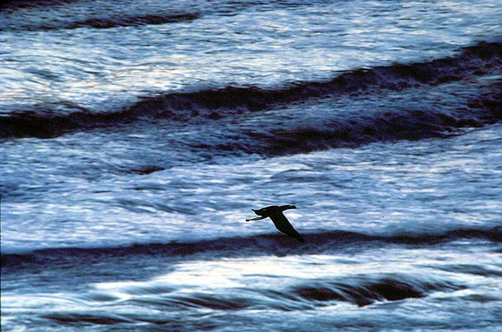 Fly Away 