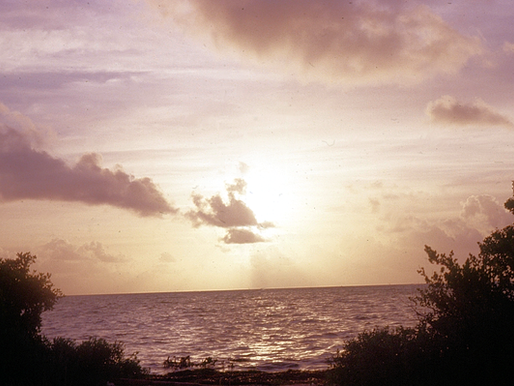 Take me to the water