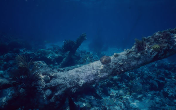 Shipwreck in the Keys | underwater | underwater life | underwater photography | underwater world | undersea | undersea life | undersea world | florida keys | florida keys life | nature | nature photography | uw photography | diving photography | scuba diving photos | scuba diving magazine | diving magazine | coral | coral reef | diver |