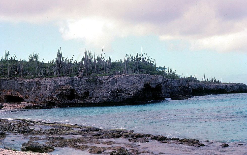 The mystery continues....