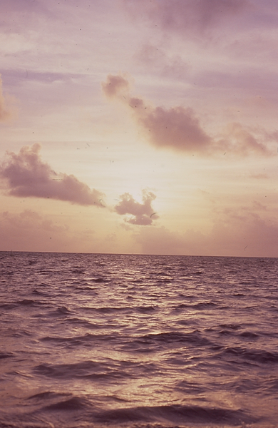 Beautiful, Beautiful | a beautiful shot of the sunrise over the sea in the Florida Keys | beautiful | beautiful sea | nature | nature photography | nature lovers
