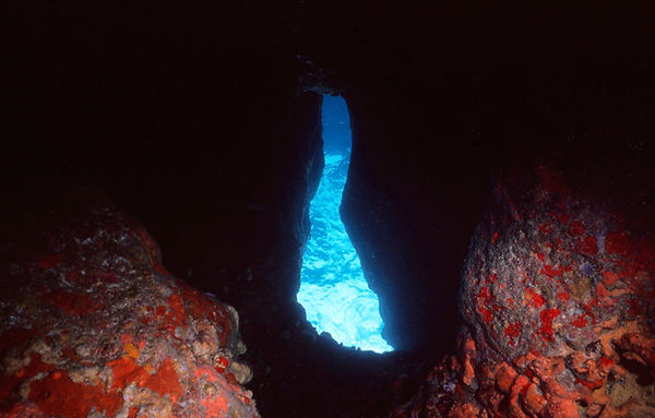 The Blue Window | coral reef formation with an opening to the blue sea | underwater photography| underwater world