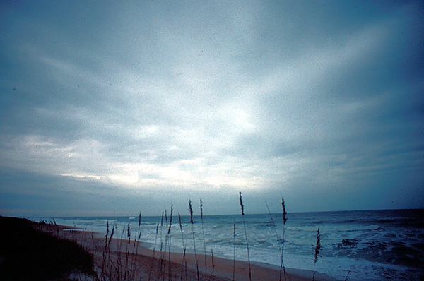 A Cloudy Day | a cloudy day at the beach with cattails, sand and surf | beach | beach vibes | beach lovers | nature | nature lovers | nature photography | nature photographer