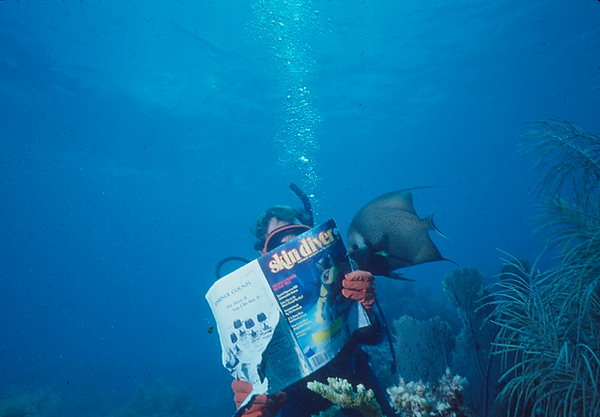 Skin Diver Fan | a diver reading skin diver magazine on the reef with and Angelfish reading over his shoulder | underwater photography | underwater world | underwater life | reef life | salt life | angel fish | skin diver