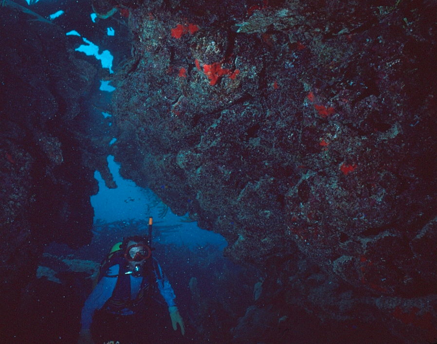 swimming Through | a diver swimming through a natural arch in the coral reef | underwater photography | underwater world | underwater life | coral reef | reef life | Salt Life