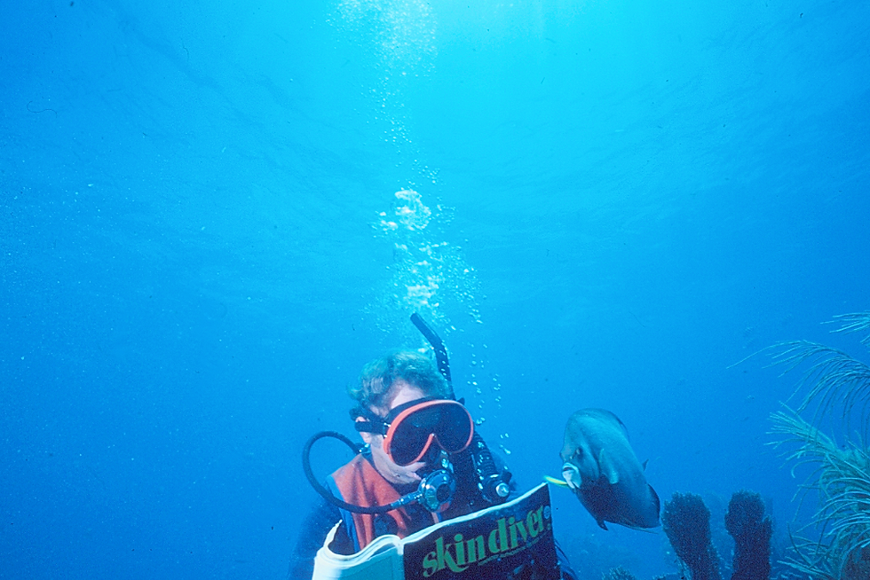 Skin Diver Magazine | a French angelfish trying to read over Dad's shoulder on the coral reef | underwater photography | underwater world | underwater life | skin diver magazine | french angelfish | coral reef | reef life | salt life 
