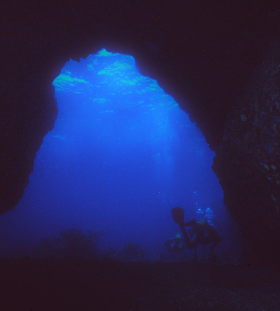 Undersea Cavern | underwater | underwater life | underwater photography | underwater world | undersea | undersea life | undersea world | florida keys | florida keys life | nature | nature photography | uw photography | diving photography | scuba diving photos | scuba diving magazine | diving magazine #fluidart