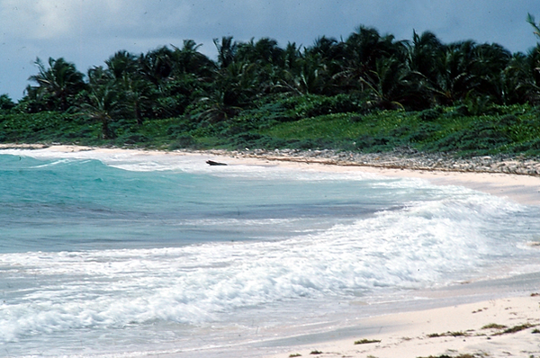 Ahhh, peace | photo of the beach with its calming affect | nature | nature photography | nature photographer | nature lovers | beach life | beach vibes | salt life | surf side