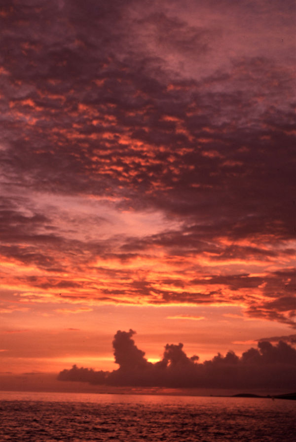 | florida keys | florida keys life | nature | nature photography | sunset | sunsetphotography | sunsetlovers | sunset pics