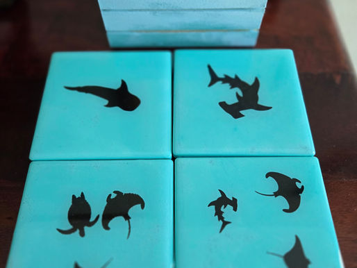 Sea Life Coasters -