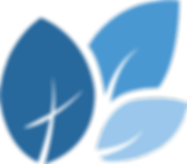 01_CCC_Final_Icon_Blue.png