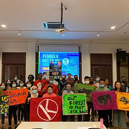 Press statement : Stop monoculture plantations in Permanent Forest Reserves