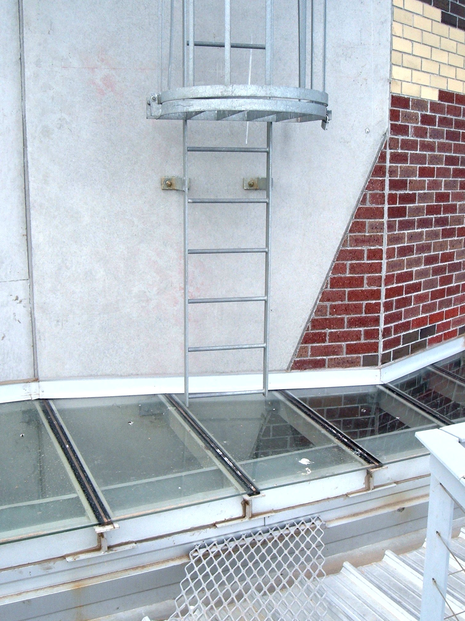 Ladder To Glass Roof