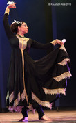 Rajhansa (24).JPG