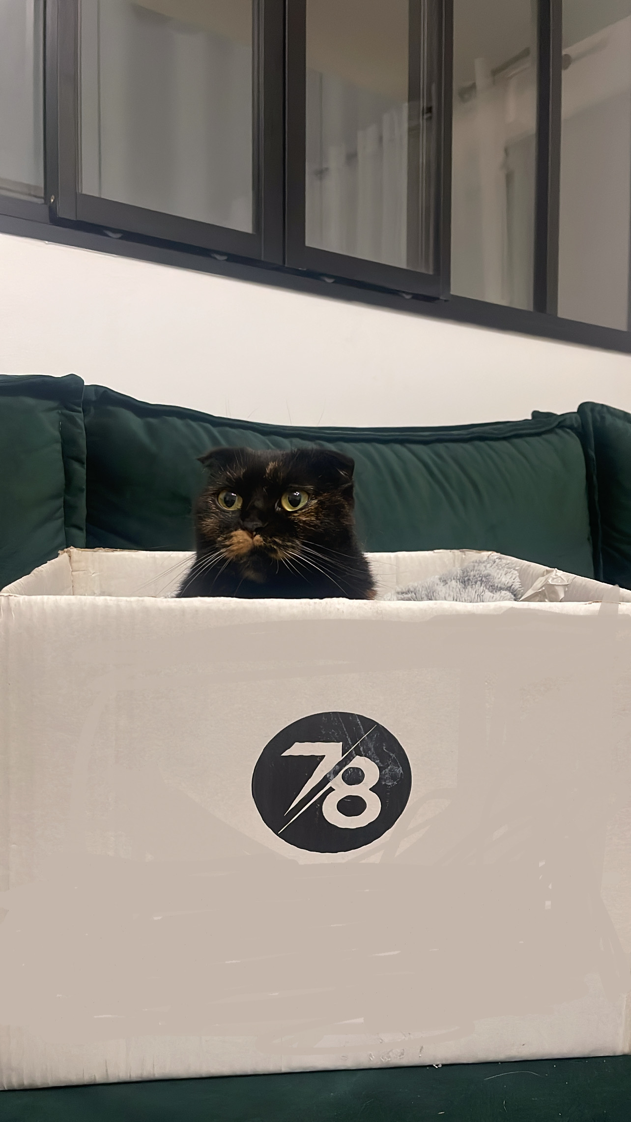 Yvelines Group équipe