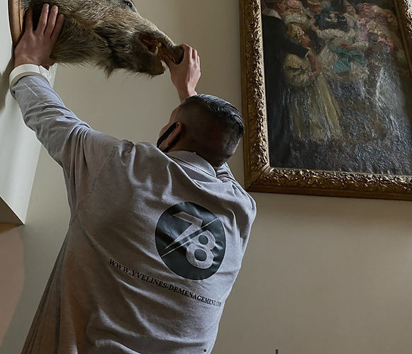 DEMENAGEMENT A POISSY 78300 EN YVELINES 78 POUR ALLER AU PECQ 78230 CARTON DEMENAGEMENT LOCATION CAMION