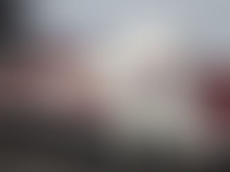 Treat Free Training: How to Fade Out Treats When Training