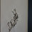 Thumbnail: Antique Herbarium. Different floral species picked in Sweden 1890-1950s.