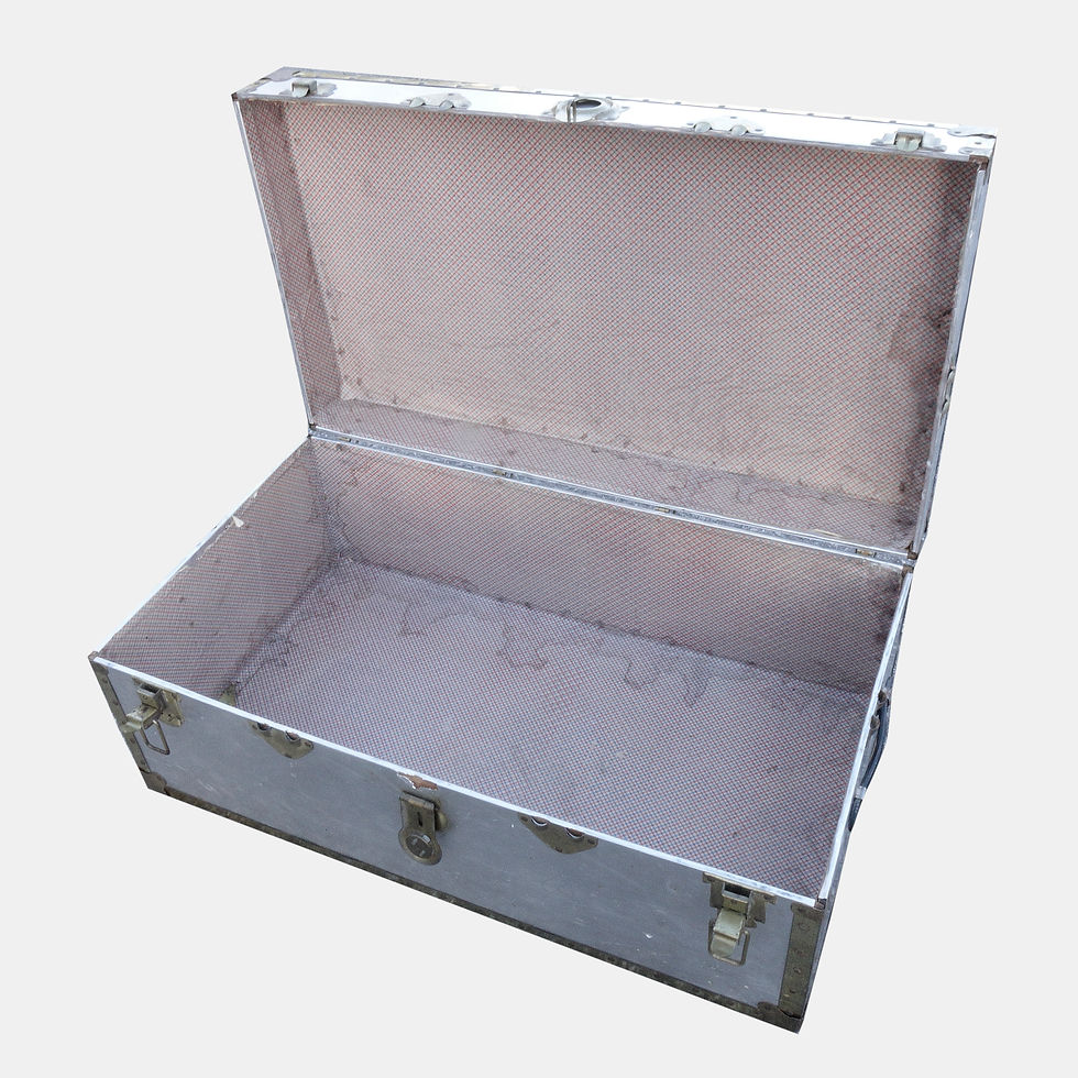 Thumbnail: Antique Early 1900s chest in aluminium and brass and leather details from Sweden