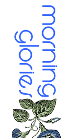 morning glories_edited.png